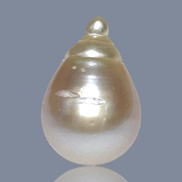 Super Giant 16.4 x 24mm Gold South Sea Teardrop Pearl Un-Drilled