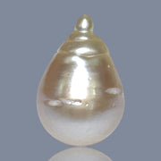 Super Giant 16.4 x 24mm Gold South Sea Teardrop Pearl Un-Drilled