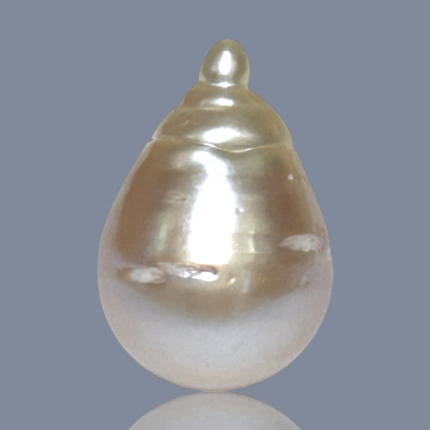 Super Giant 16.4 x 24mm Gold South Sea Teardrop Pearl Un-Drilled