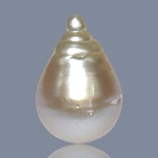 Super Giant 16.4 x 24mm Gold South Sea Teardrop Pearl Un-Drilled