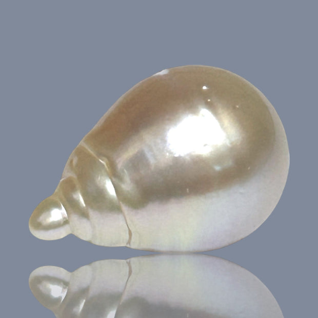 Super Giant 16.4 x 24mm Gold South Sea Teardrop Pearl Un-Drilled