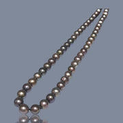 Fabulous 7.5 -8mm Multi Brown Bronze Color Round Pearl 16" Strand