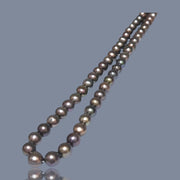 Fabulous 7.5 -8mm Multi Brown Bronze Color Round Pearl 16" Strand