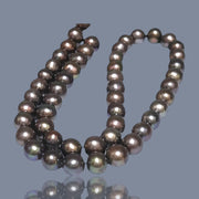 Fabulous 7.5 -8mm Multi Brown Bronze Color Round Pearl 16" Strand