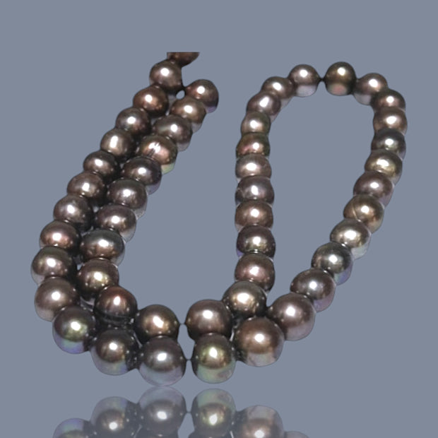 Fabulous 7.5 -8mm Multi Brown Bronze Color Round Pearl 16" Strand