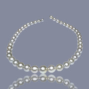 Round 8 - 11mm Australia South Sea Champage White Pearl 16" Strand