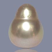 Giant Drop 16.5 x 20.8mm 36.6 Carat Deep Gold South Sea Loose Pearl