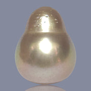 Giant Drop 16.5 x 20.8mm 36.6 Carat Deep Gold South Sea Loose Pearl