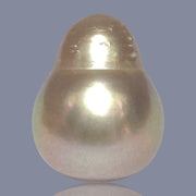 Giant Drop 16.5 x 20.8mm 36.6 Carat Deep Gold South Sea Loose Pearl