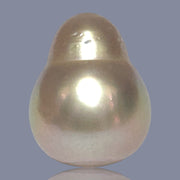 Giant Drop 16.5 x 20.8mm 36.6 Carat Deep Gold South Sea Loose Pearl