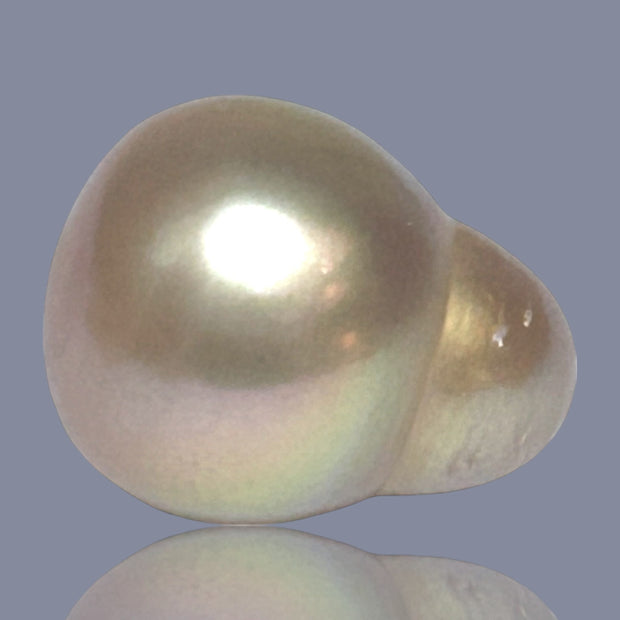 Giant Drop 16.5 x 20.8mm 36.6 Carat Deep Gold South Sea Loose Pearl