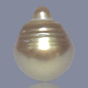 13.9 x 17mm 20.8 Carat Natural Gold Philippines South Sea Pearl Loose