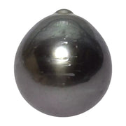 Huge 20.5 Carat 13.9 x 15.4mm Tahitian Peacock Black Green Pearl Loose