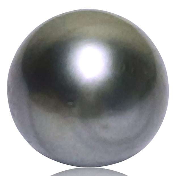 Radiant 21 Carat 13.9x 15.5mm Tahitian Peacock Middle Gray Pearl