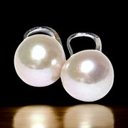 Round White Pinkish 11.5- 11.7mm Edison Cultured Pearl Dangle Earrings