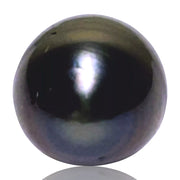 Delicate 13 x 16.6mm 19.6 Carats Peacock Black Blue Tahitian Pearl