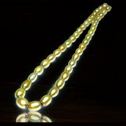 Smooth Oval 7 x 8.5mm Champagne Green Cultured FW Pearl 16" Strand