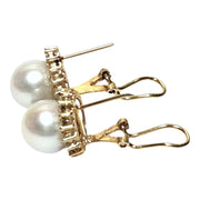 Fantastic 9.5 - 10mm White Round  Edison Pearl French Omega Earrings