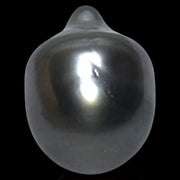 Teardrop 12.8x 17mm 17.6 Carat Tahitian Sea Black Gray Green Pearl