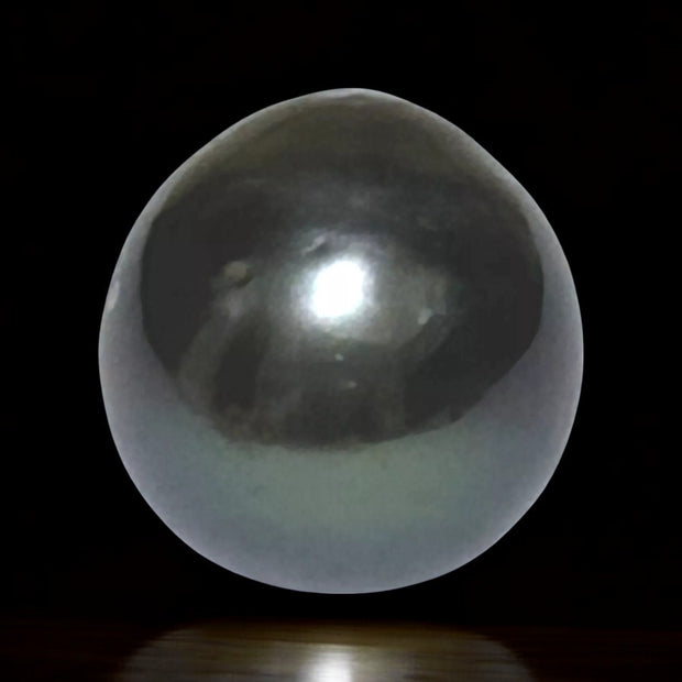 Huge Oval Round 14.6 x 15.4mm Peacock Black Tahitian Sea Pearl Loose