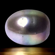 5A Oval 16 Carat 12.6 x 15.9mm Tahitian Sea Silver Green Tones Pearl