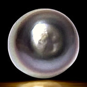 5A Oval 16 Carat 12.6 x 15.9mm Tahitian Sea Silver Green Tones Pearl