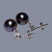 Gorgeous 10.4mm Edison Peacock Black Pink Round Pearl Dangle Earrings