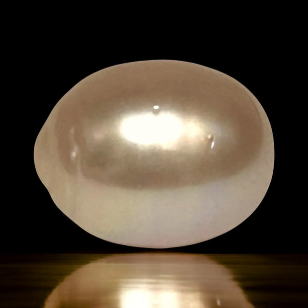 Oval Giant 13.7 x 17.4mm Rich Gold Philippines South Sea Loose Pearl