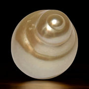 Baroque 12.8 x 17.2mm 18.8 Carats Natural Gold South Sea Loose Pearl