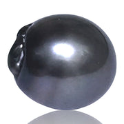 Unique 16.6 Carat 12.6 x14.4mm Tahitian Peacock Black Gray Loose Pearl