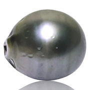 Radiant 21 Carat 13.9x 15.5mm Tahitian Peacock Middle Gray Pearl