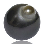 Huge 14.2 x 17.3mm Natural Peacock Black Green Tahitian Pearl Loose