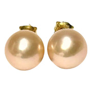 Exquisite 10.5mm Peach Gold Pink Edison Cultured Pearl Stud Earrings