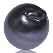 Unique 16.6 Carat 12.6 x14.4mm Tahitian Peacock Black Gray Loose Pearl